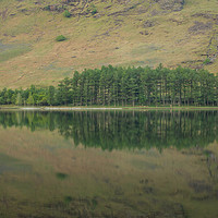Buy canvas prints of Buttermere Reflections by Jed Pearson