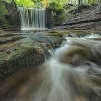 Buy canvas prints of Autumn Cascade by Jed Pearson