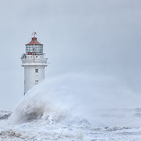 Buy canvas prints of Catching a wave by Jed Pearson