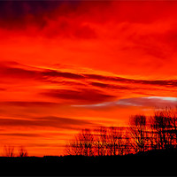 Buy canvas prints of A vivid red Sunrise. by Adrian Maricic