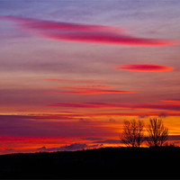 Buy canvas prints of Lenticular Cloud Sunrise by Adrian Maricic