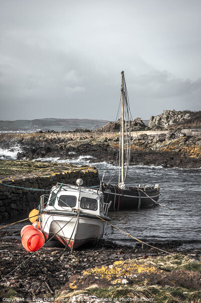 Stormy Day At Portencross Picture Board by Tylie Duff Photo Art