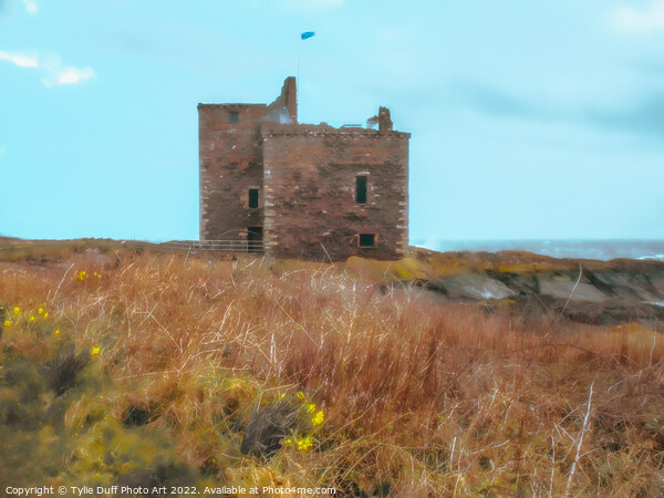 Portencross Castle On The Clyde Picture Board by Tylie Duff Photo Art