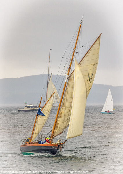 Classic Yacht Macaria at Fife Regatta 2022 (1) Picture Board by Tylie Duff Photo Art