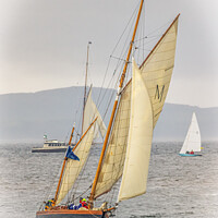 Buy canvas prints of Classic Yacht Macaria at Fife Regatta 2022 (1) by Tylie Duff Photo Art