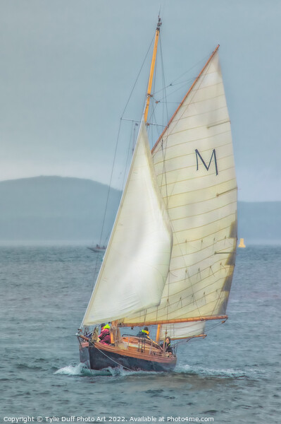 Classic Yacht Macaria at Fife Regatta 2022 (2) Picture Board by Tylie Duff Photo Art