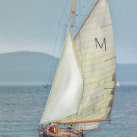 Buy canvas prints of Classic Yacht Macaria at Fife Regatta 2022 (2) by Tylie Duff Photo Art