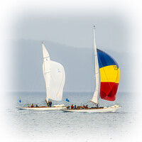Buy canvas prints of Racing Yachts Falcon and Sonata At The Fife Regatt by Tylie Duff Photo Art