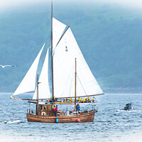 Buy canvas prints of Classic Fife Yacht "The Lady Anne" and Puffer by Tylie Duff Photo Art