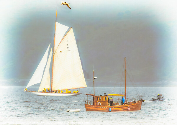 Fife Yacht The Lady Anne On The Clyde Picture Board by Tylie Duff Photo Art