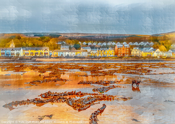 Spring Tide At Fairlie Beach Picture Board by Tylie Duff Photo Art