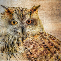 Buy canvas prints of Majestic Hunter The Eurasian Eagle Owl by Tylie Duff Photo Art