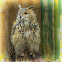 Buy canvas prints of Eagle Owl by Tylie Duff Photo Art