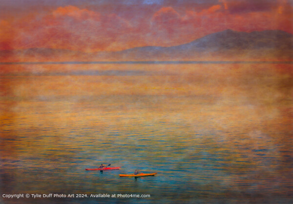 Canoes off Seamill at Sunset Picture Board by Tylie Duff Photo Art