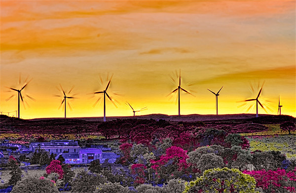 Wind Turbines at Sunset Picture Board by Tylie Duff Photo Art