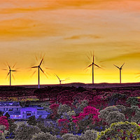 Buy canvas prints of Wind Turbines at Sunset by Tylie Duff Photo Art