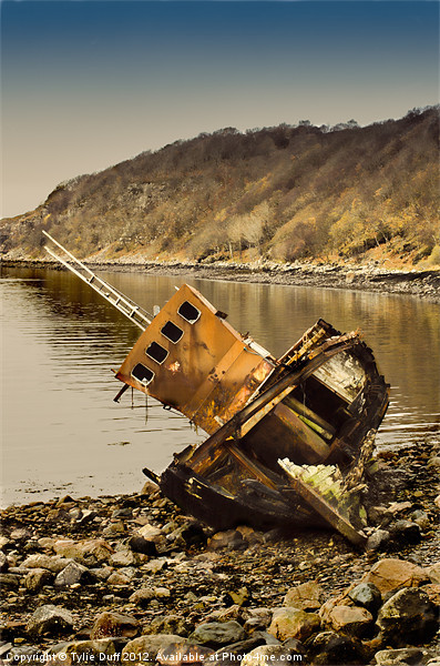Shipwreck on Highland Beach at Diabaig Picture Board by Tylie Duff Photo Art
