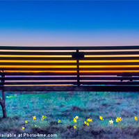 Buy canvas prints of View from the Bench by Tylie Duff Photo Art