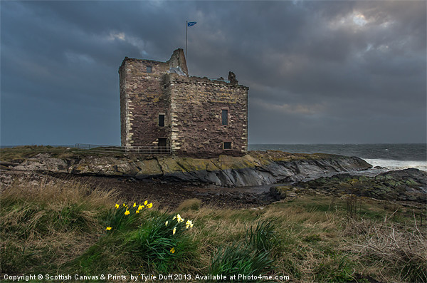 Storm Clouds over  Portencross Castle Picture Board by Tylie Duff Photo Art