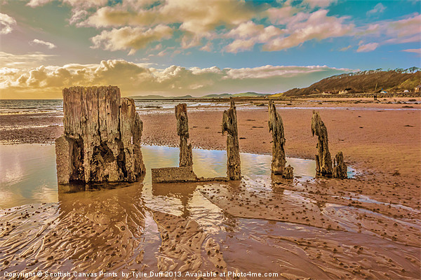 Groynes on Seamill Beach Picture Board by Tylie Duff Photo Art