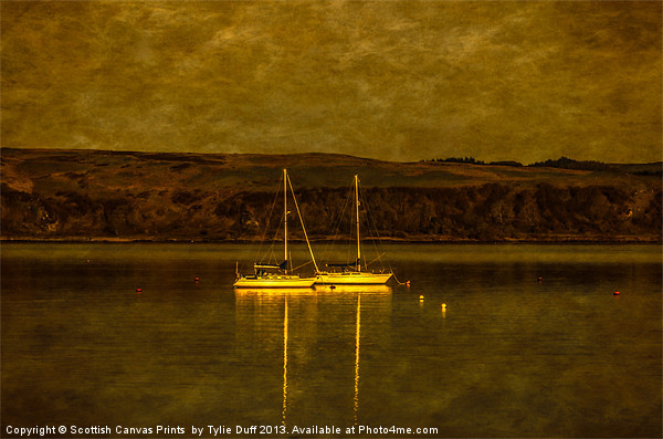 Two Yachts by Moonlight in Fairlie Bay Picture Board by Tylie Duff Photo Art