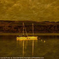 Buy canvas prints of Two Yachts by Moonlight in Fairlie Bay by Tylie Duff Photo Art