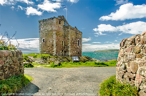 Springtime at Portencross Castle , Ayrshire Picture Board by Tylie Duff Photo Art