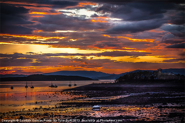 Sunset at Fairlie on the Clyde Picture Board by Tylie Duff Photo Art