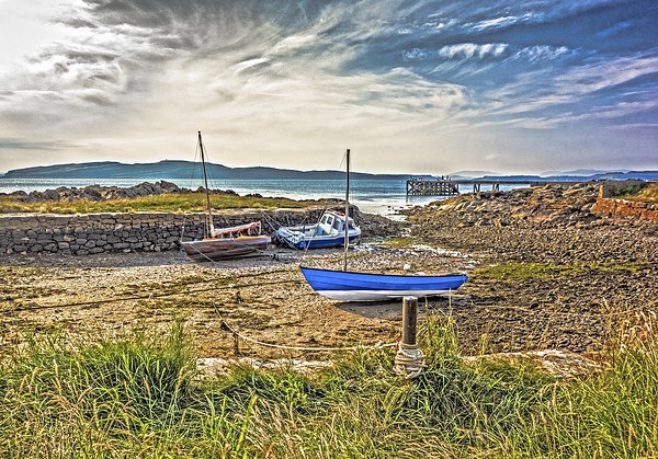 Harbour at Portencross Picture Board by Tylie Duff Photo Art