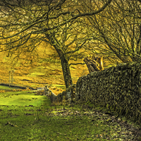Buy canvas prints of Drystane Dyke Kelburn Country Park by Tylie Duff Photo Art