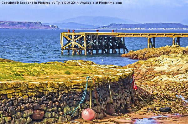 Portencross Harbour on the Clyde Picture Board by Tylie Duff Photo Art