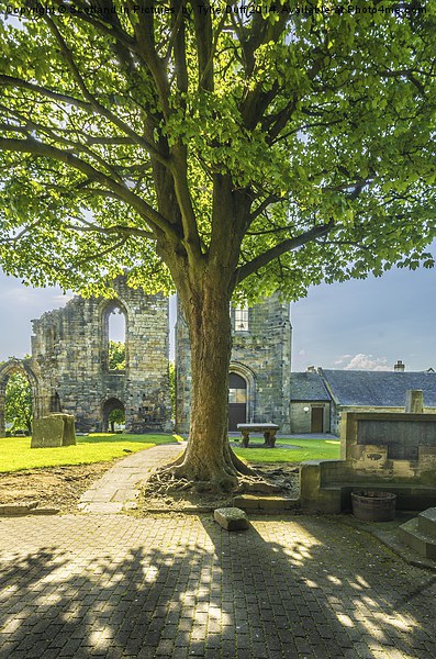 Springtime at Kilwinning Abbey Ayrshire Picture Board by Tylie Duff Photo Art