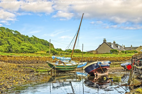 Boats in Portencross Harbour Ayrshire Picture Board by Tylie Duff Photo Art