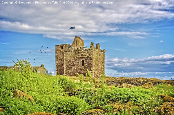 Portencross Castle Ayrshire at Midsummer Picture Board by Tylie Duff Photo Art