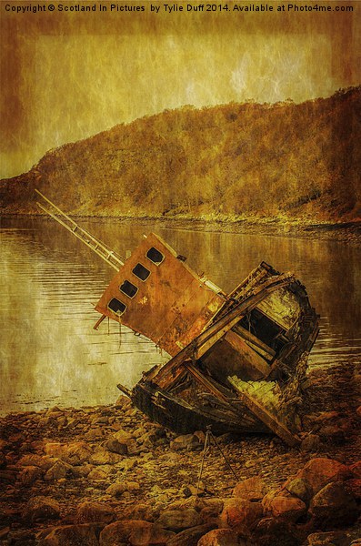Shipwreck on Beach at Loch Torridon Picture Board by Tylie Duff Photo Art