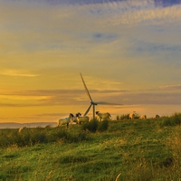 Buy canvas prints of Dusk at Whitelee Wind Farm by Tylie Duff Photo Art