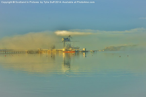  Summer Mist at Hunterston Picture Board by Tylie Duff Photo Art