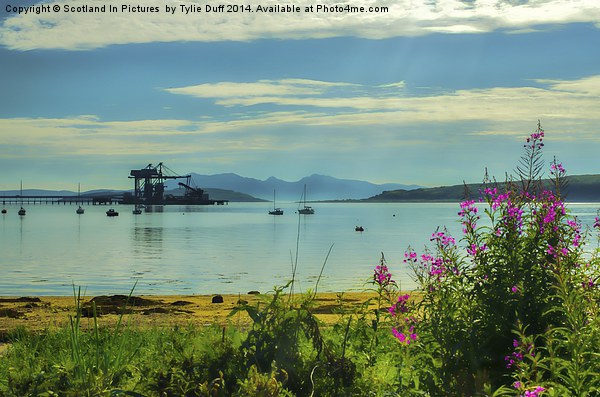  Summer Day at Fairlie Picture Board by Tylie Duff Photo Art
