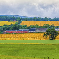 Buy canvas prints of  Rural Scottish Landscape by Tylie Duff Photo Art