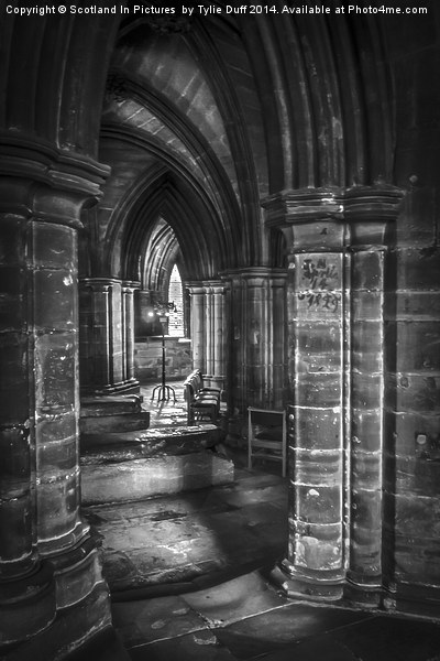  Cloisters at Glasgow Cathedral Scotland Picture Board by Tylie Duff Photo Art