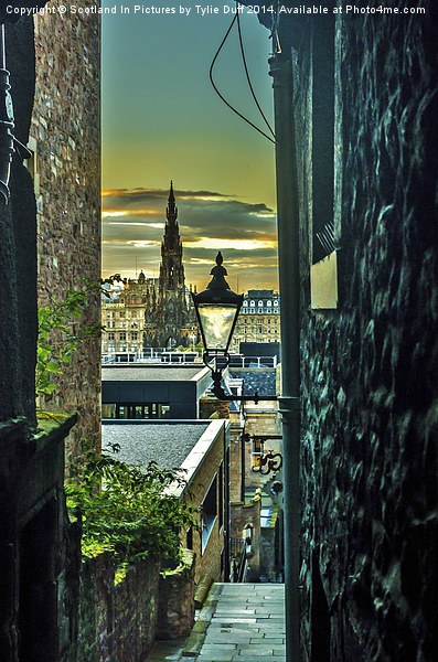  View from Royal Mile Edinburgh Picture Board by Tylie Duff Photo Art
