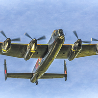Buy canvas prints of  Battle of Britain Memorial Flight by Tylie Duff Photo Art