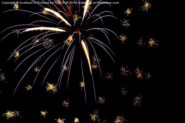  Fireworks Display Picture Board by Tylie Duff Photo Art