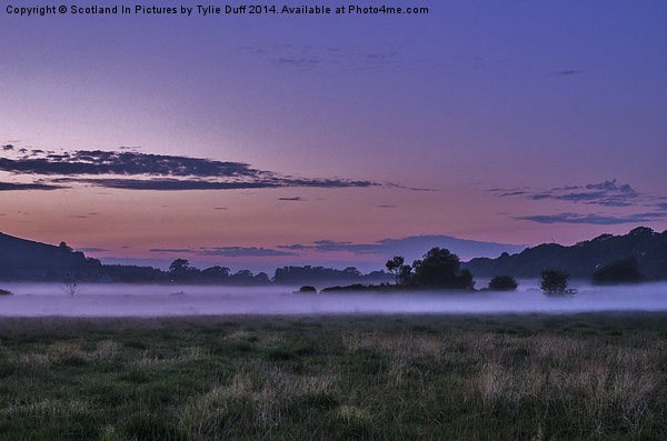  Misty Evening at Hunterston Picture Board by Tylie Duff Photo Art
