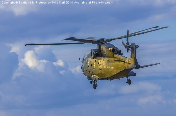  Augusta Westland Merlin Helicopter Picture Board by Tylie Duff Photo Art
