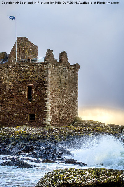 Storm at Portencross Castle Picture Board by Tylie Duff Photo Art