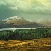 Buy canvas prints of  Glen Coe on Rannoch Moor by Tylie Duff Photo Art