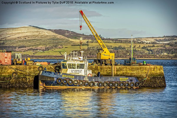  Tugboat in Greenock Harbour Picture Board by Tylie Duff Photo Art