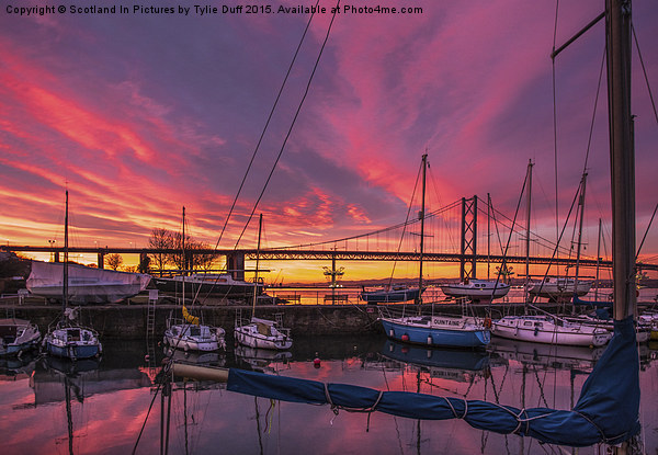  Glorious Sunset at South Queensferry Harbour Picture Board by Tylie Duff Photo Art