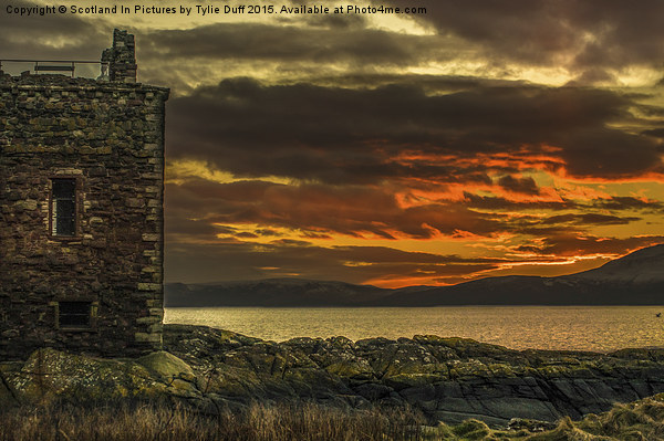  Arran Sunset From Portencross Castle Picture Board by Tylie Duff Photo Art